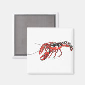 langoest magneet (Voorkant / Achterkant)