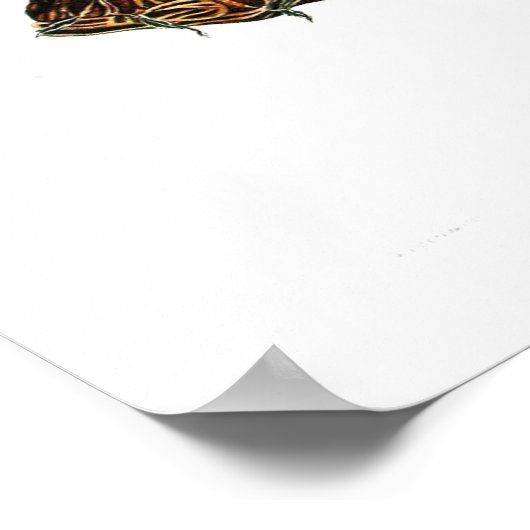 langoest poster (Hoek)