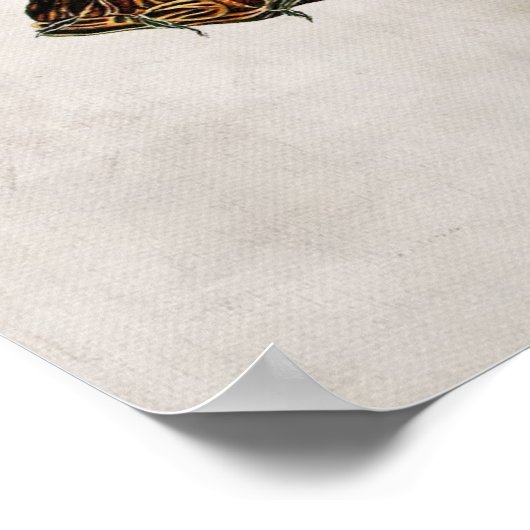  langoest poster (Hoek)