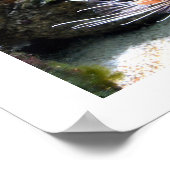 langoest poster (Hoek)