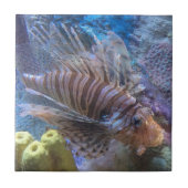 langoest tegeltje (Voorkant)