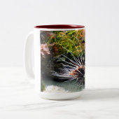 langoest tweekleurige koffiemok (Voorkant links)