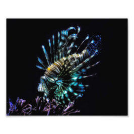 langoesten foto afdruk