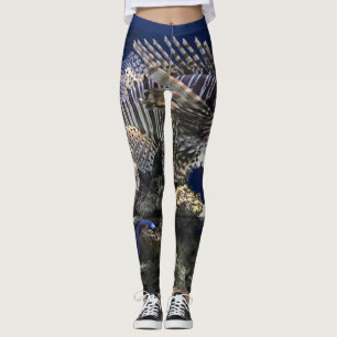 Langoesten in het aquarium leggings
