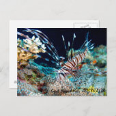 Langoesten op het Briefkaart van het Great Barrier (Voorkant / Achterkant)