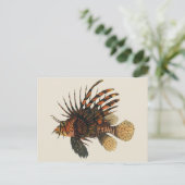  langoesten, zeedieren briefkaart (Staand voorkant)