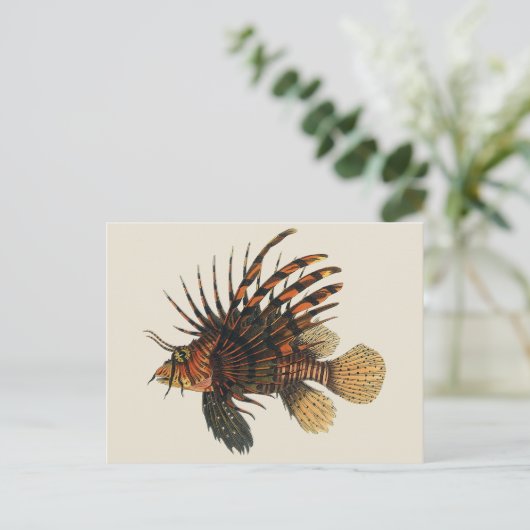  langoesten, zeedieren briefkaart (Staand voorkant)