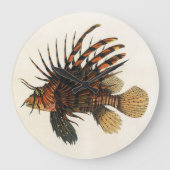 langoesten, zeedieren grote klok (Voorkant)