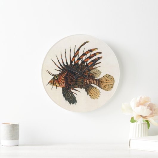 langoesten, zeedieren grote klok (Huis)