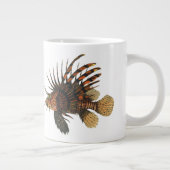  langoesten, zeedieren grote koffiekop (Rechts)