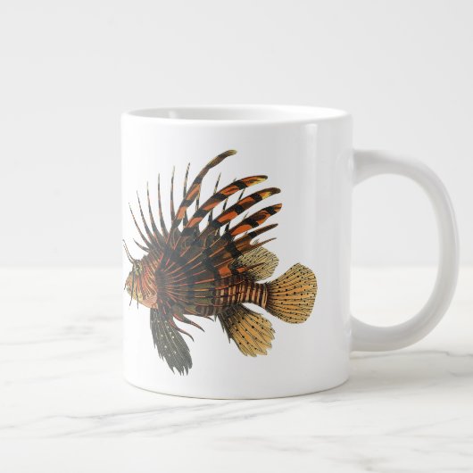  langoesten, zeedieren grote koffiekop (Rechts)