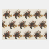 langoesten, zeedieren inpakpapier vel (Voorkant 3)