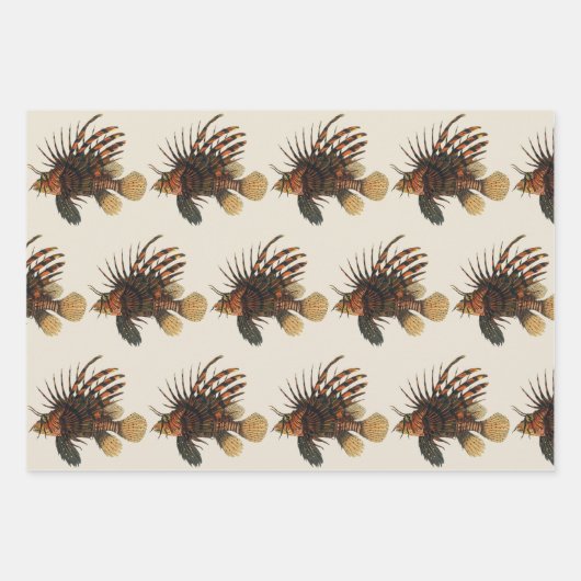  langoesten, zeedieren inpakpapier vel (Voorkant 2)