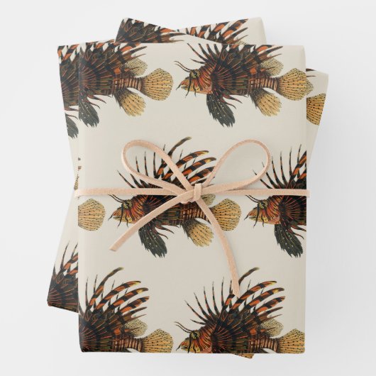  langoesten, zeedieren inpakpapier vel (In situ)