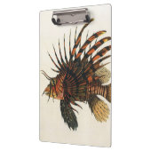  langoesten, zeedieren klembord (Links)