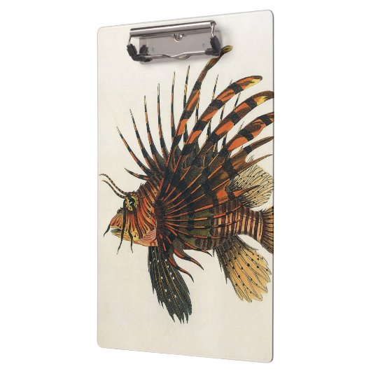  langoesten, zeedieren klembord (Links)