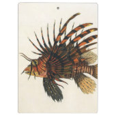  langoesten, zeedieren klembord (Achterkant)