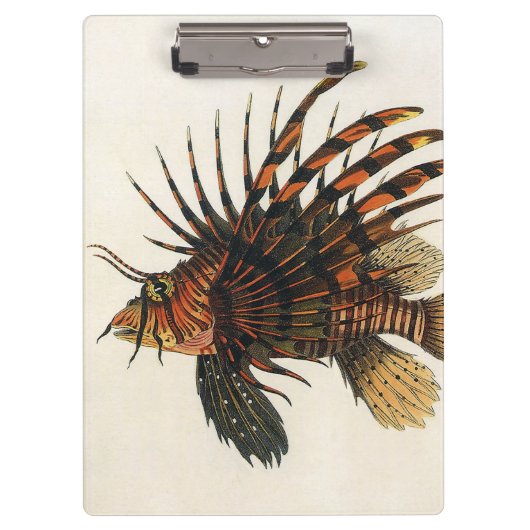  langoesten, zeedieren klembord (Voorkant)