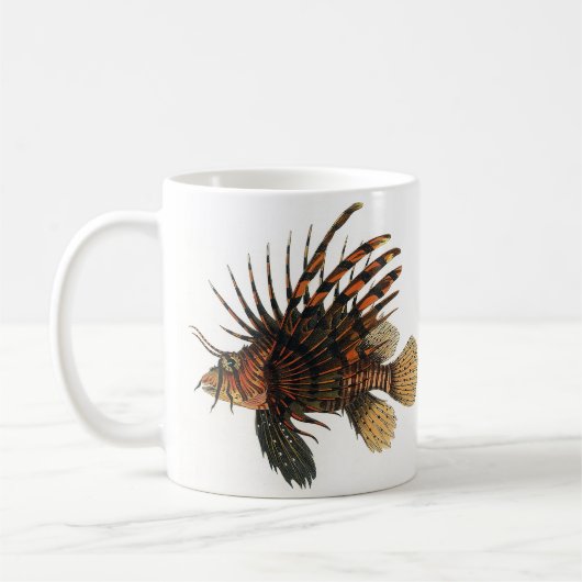  langoesten, zeedieren koffiemok (Links)