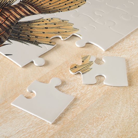  langoesten, zeedieren legpuzzel (Zijkant)