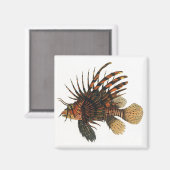 langoesten, zeedieren magneet (Voorkant / Achterkant)