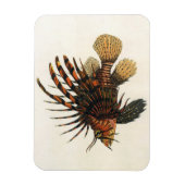 langoesten, zeedieren magneet (Verticaal)