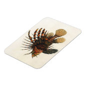 langoesten, zeedieren magneet (Linkerzijde)