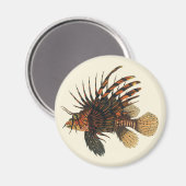 langoesten, zeedieren magneet (Voorkant / Achterkant)