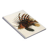  langoesten, zeedieren notitieboek (Rechterzijde)