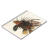  langoesten, zeedieren notitieboek (Linkerzijde)