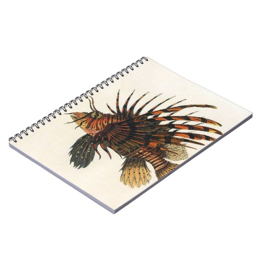  langoesten, zeedieren notitieboek (Linkerzijde)