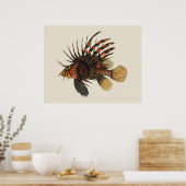 langoesten, zeedieren poster (Keuken)