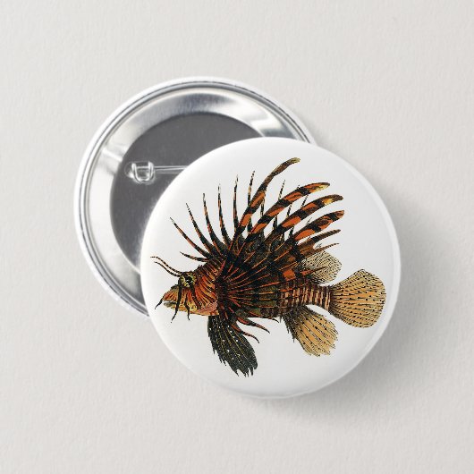 langoesten, zeedieren ronde button 5,7 cm (Voorkant /achterkant)