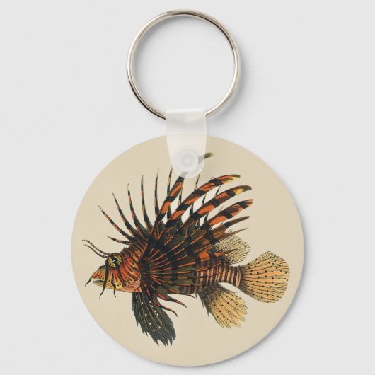 langoesten, zeedieren sleutelhanger (Achterkant)