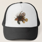  langoesten, zeedieren trucker pet (Voorkant)