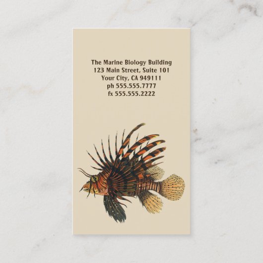 langoesten, zeedieren visitekaartje (Achterkant)