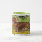 Langoharige Dachshund Mok (Midden)