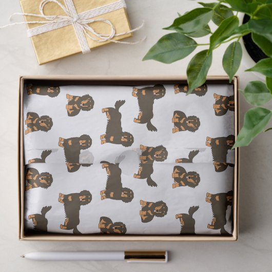 Langoharige Dachshund Tissuepapier (Geschenk)