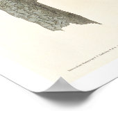 Langoorige oraal door het Poster van Audubon (Hoek)