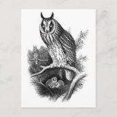 Langoorige orchestaarsketch briefkaart (Voorkant)