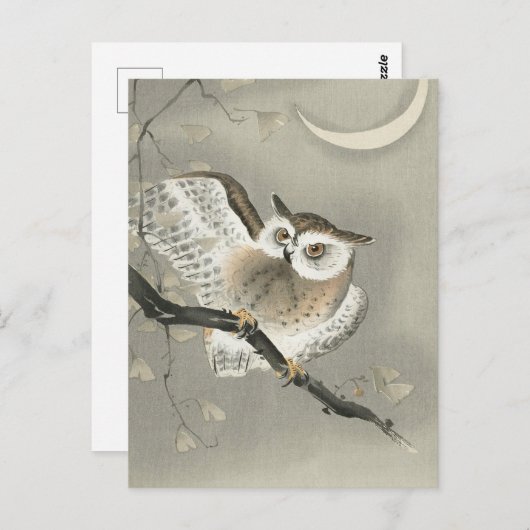 Langoorige uil in ginkgo - Ohara Koson - kunst Briefkaart (Voorkant / Achterkant)