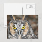 Langoorkieuwen Briefkaart (Voorkant / Achterkant)