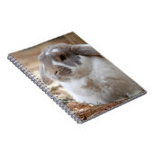 Langoorkonijn Notitieboek (Rechterzijde)