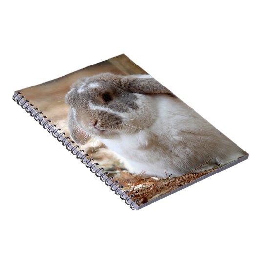 Langoorkonijn Notitieboek (Rechterzijde)