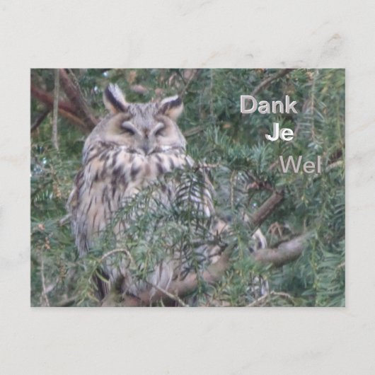 Langooruil Dank Je Postkaart (Voorkant)