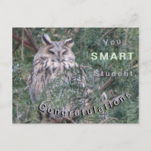 Langooruilij Congratulations Ansichtkaart Briefkaart