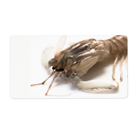 Langoustine Etiket (Voorkant)