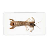 Langoustine Etiket (Voorkant)