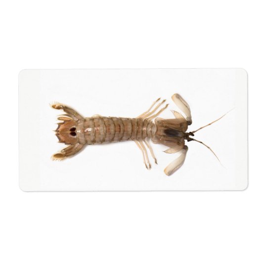 Langoustine Etiket (Voorkant)