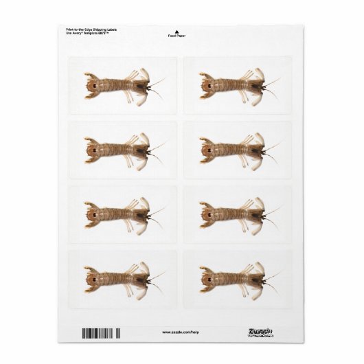 Langoustine Etiket (Full Sheet)